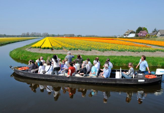 Delft und die Tulpen